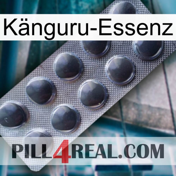 Känguru-Essenz 30.jpg